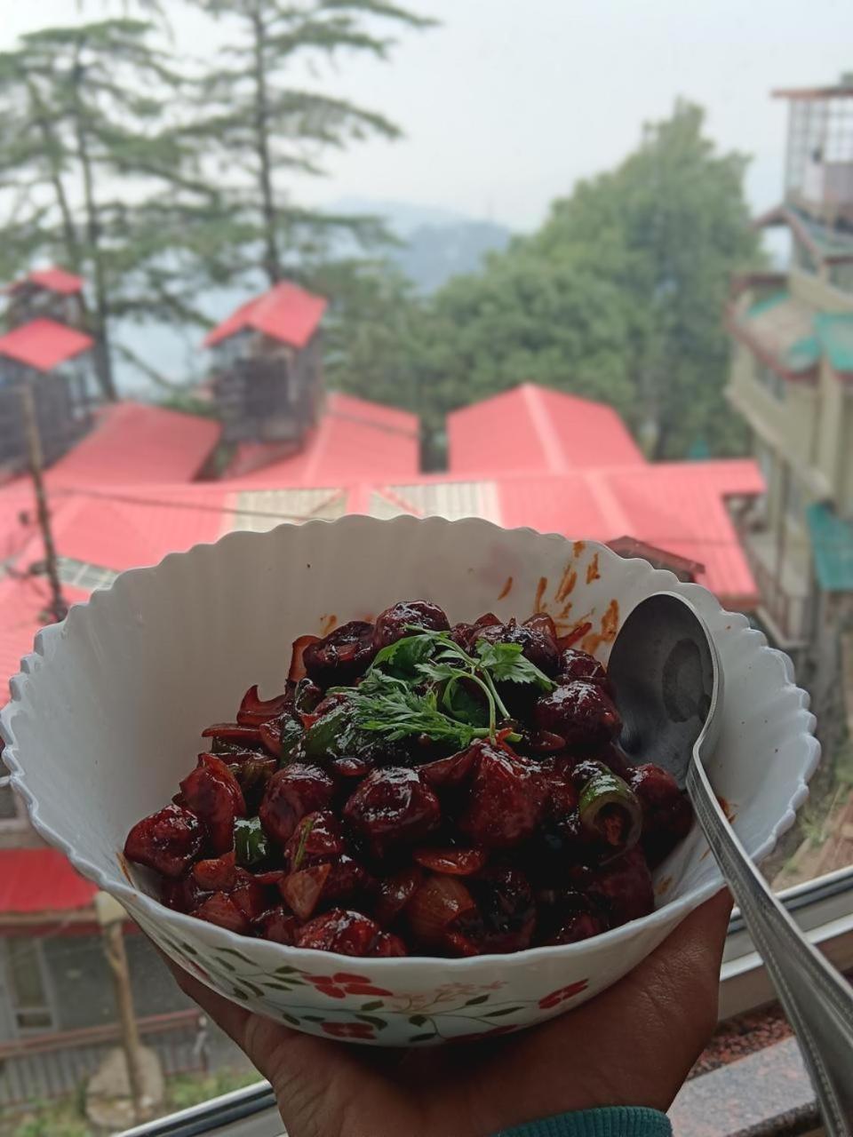 Hotel Jakhu Heights Shimla Esterno foto
