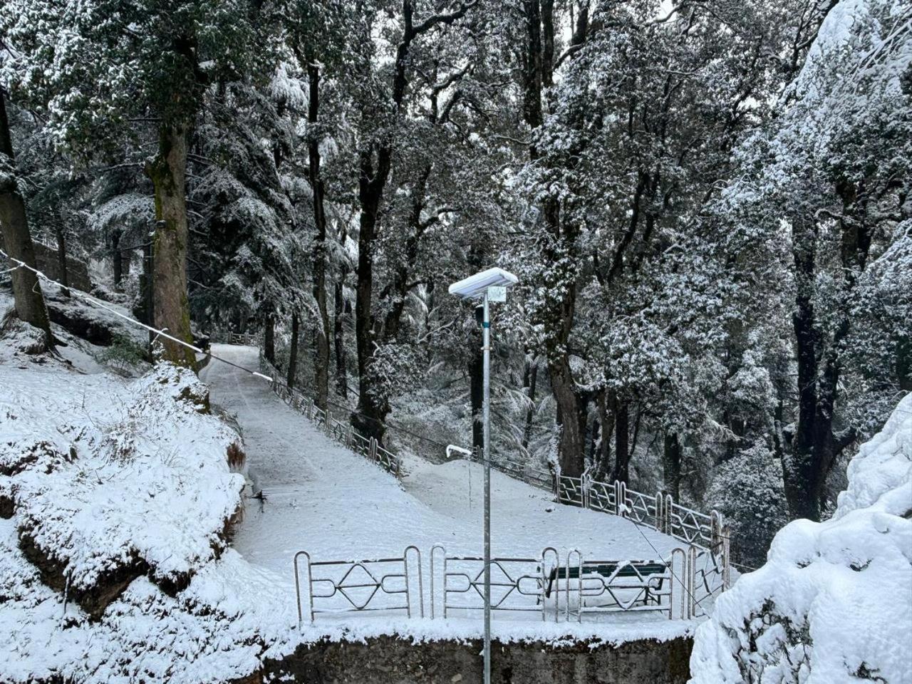 Hotel Jakhu Heights Shimla Esterno foto