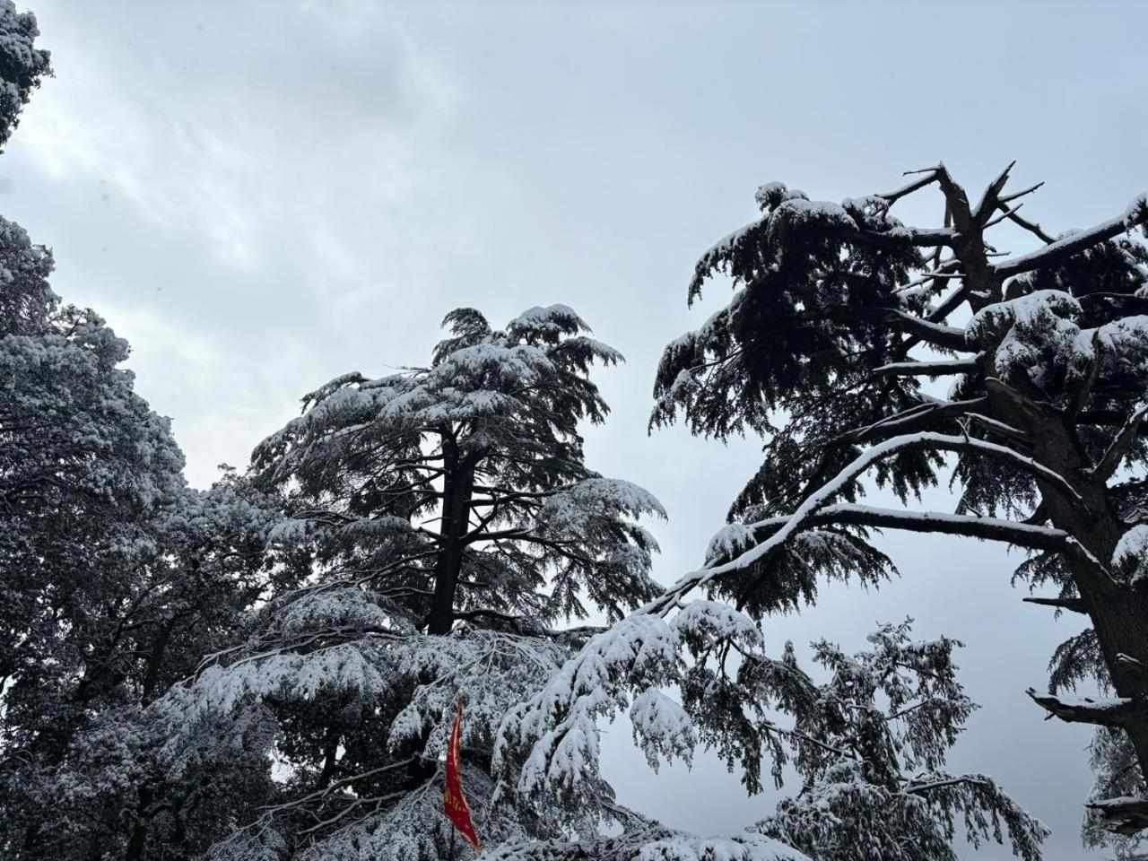 Hotel Jakhu Heights Shimla Esterno foto